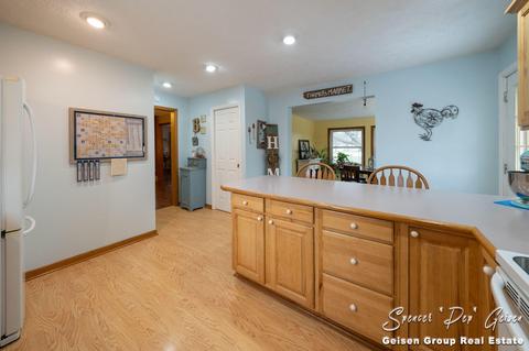 322 W Ellis Ave, Belding, MI 48809 photo 19
