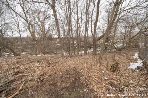 322 W Ellis Ave, Belding, MI 48809 photo 41