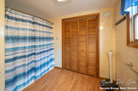 322 W Ellis Ave, Belding, MI 48809 photo 34
