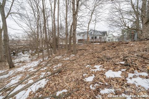 322 W Ellis Ave, Belding, MI 48809 photo 42