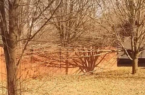 1004 Constantine St, Three Rivers, MI 49093 photo 8