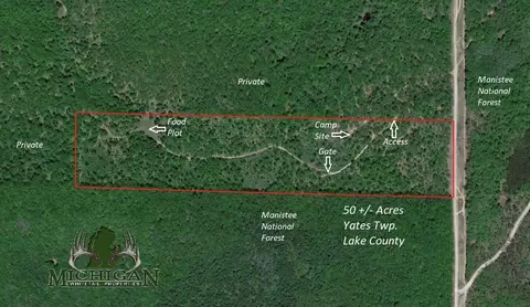 Vl State Road, Chase, MI 49623