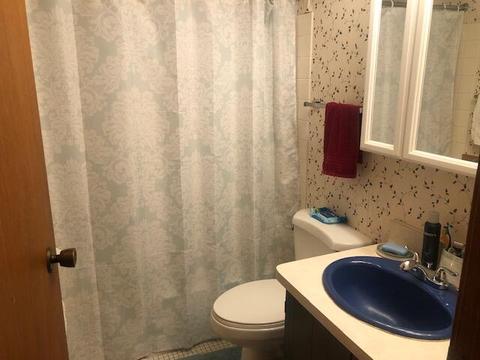 5253 Cherry Rd, Farwell, MI 48622 photo 14