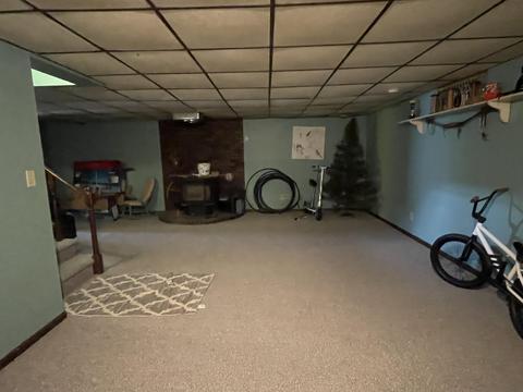 729 Hackett St, Ionia, MI 48846 photo 25