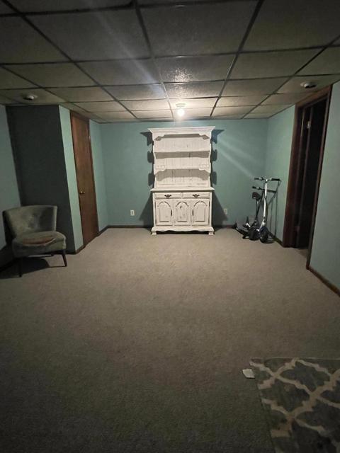 729 Hackett St, Ionia, MI 48846 photo 61