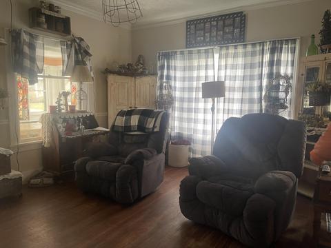 729 Hackett St, Ionia, MI 48846 photo 39