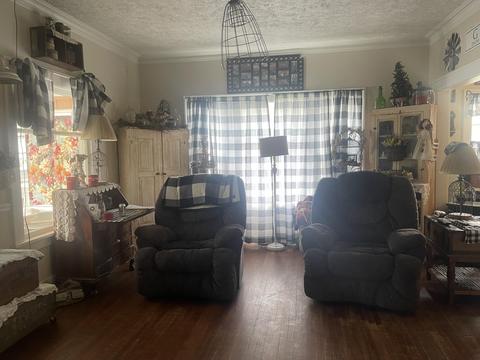 729 Hackett St, Ionia, MI 48846 photo 40