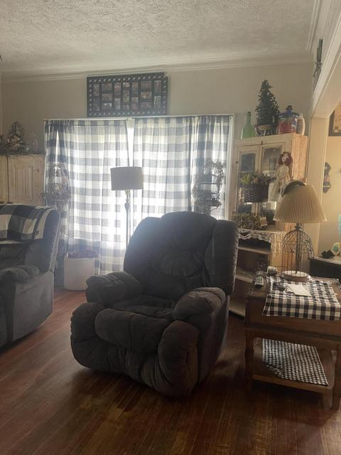 729 Hackett St, Ionia, MI 48846 photo 38