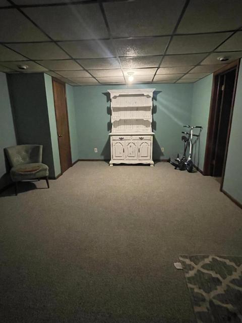 729 Hackett St, Ionia, MI 48846 photo 62