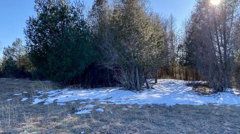 greenway LOT S 1, Onekama, MI 49675