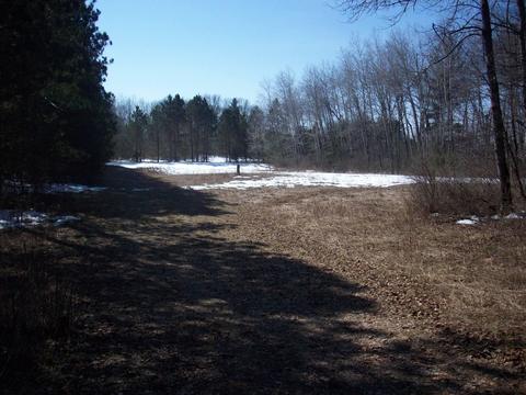 15537 Benzing Rd, Hersey, MI 49639 photo 7