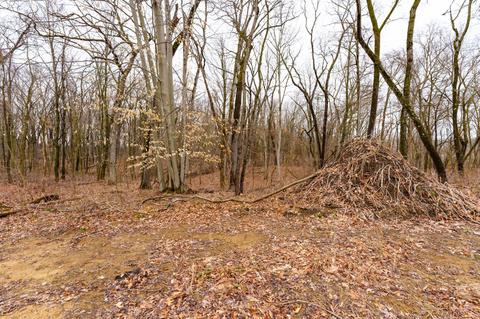 17290 Limberlost Rd, Three Rivers, MI 49093 photo 22