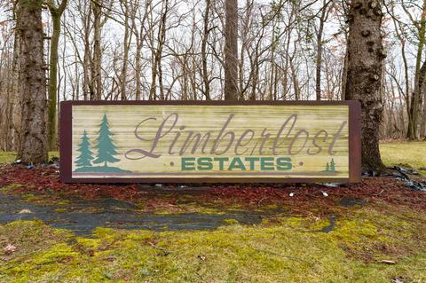 17290 Limberlost Rd, Three Rivers, MI 49093 photo 2