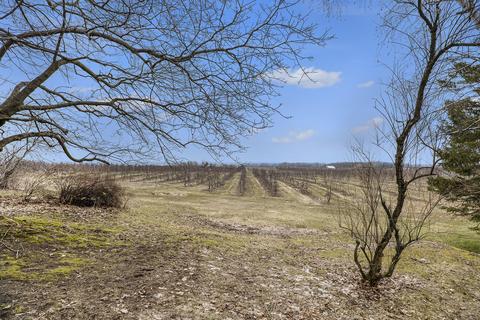16340 White Rd, Bailey, MI 49303 photo 30