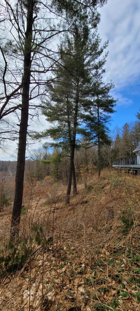 5035 Log Rd, Mears, MI 49436 photo 50