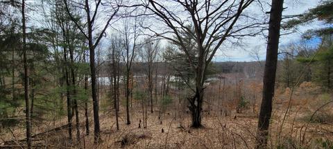 5035 Log Rd, Mears, MI 49436 photo 49