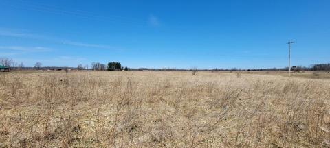 Parcel A Peterson Road, Ionia, MI 48846