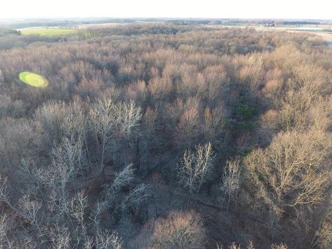 5371 Bean Rd, Allen, MI 49227 photo 75