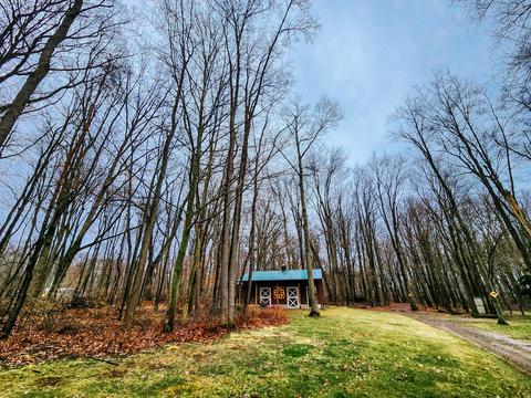5371 Bean Rd, Allen, MI 49227 photo 82