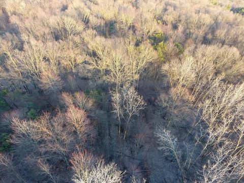 5371 Bean Rd, Allen, MI 49227 photo 73
