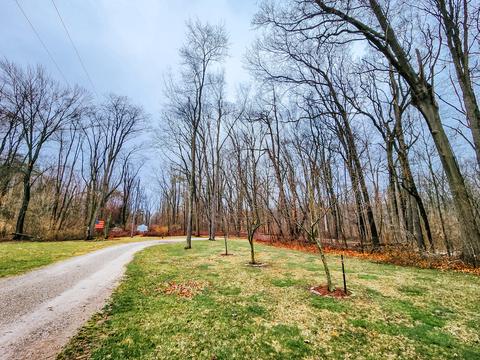 5371 Bean Rd, Allen, MI 49227 photo 78