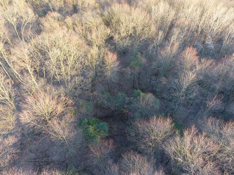 5371 Bean Rd, Allen, MI 49227 photo 72