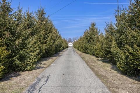 11736 M-216 Hwy, Marcellus, MI 49067 photo 3