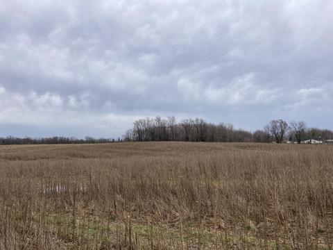 Lot A Bonanza Rd, Lake Odessa, MI 48849