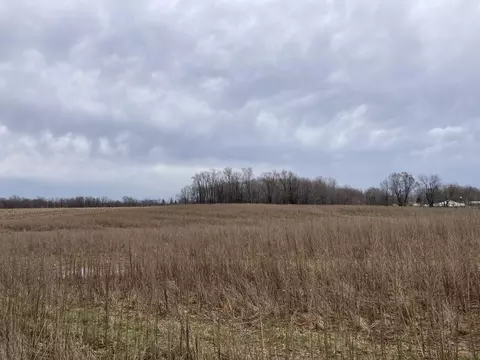 Lot B Bonanza Rd, Lake Odessa, MI 48849