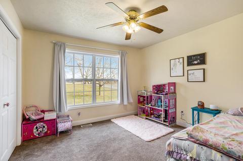 7672 Keyes Rd, Bellevue, MI 49021 photo 16