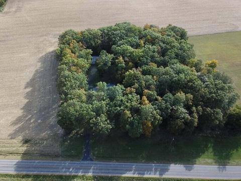 10211 E Territorial Rd, Waldron, MI 49288 photo 38