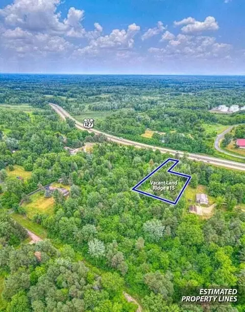Vl Ridge Road, Jackson, MI 49201 photo 5