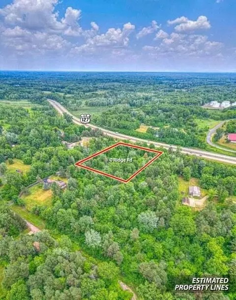 Vl Ridge Road, Jackson, MI 49201 photo 4