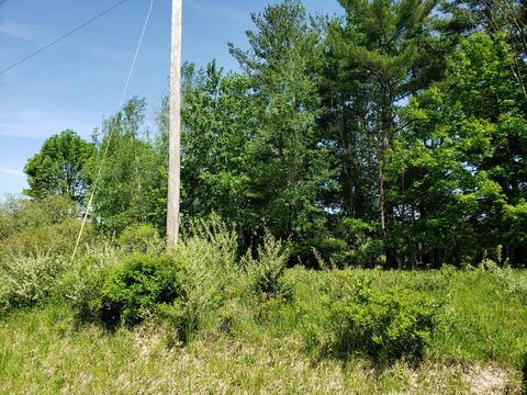 Parcel 1 Lasalle Road, Scottville, MI 49454
