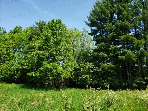 Parcel 2 Lasalle Road, Scottville, MI 49454