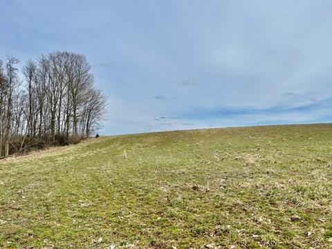 Tbd 104th, Allegan, MI 49010