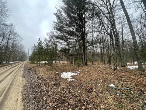 Parcel C N Mac Rd, Irons, MI 49644