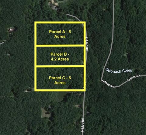 Parcel C N Mac Rd, Irons, MI 49644 photo 9