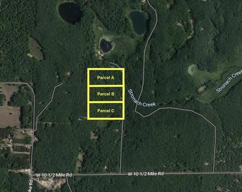 Parcel C N Mac Rd, Irons, MI 49644 photo 10