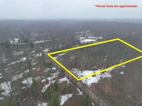 Parcel C N Mac Rd, Irons, MI 49644 photo 5