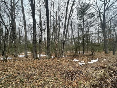 Parcel C N Mac Rd, Irons, MI 49644 photo 3