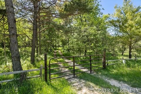 13113 N Walnut Ave, Bitely, MI 49309 photo 46