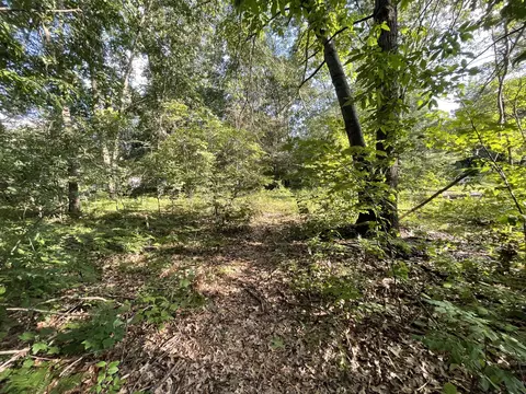 0 Winona Ct #LOT 293, Howard City, MI 49329