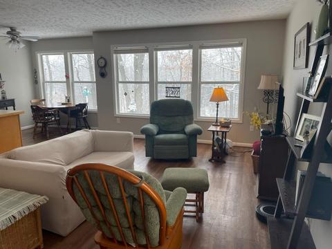 1126 Riverview Ct, Williamston, MI 48895 photo 3