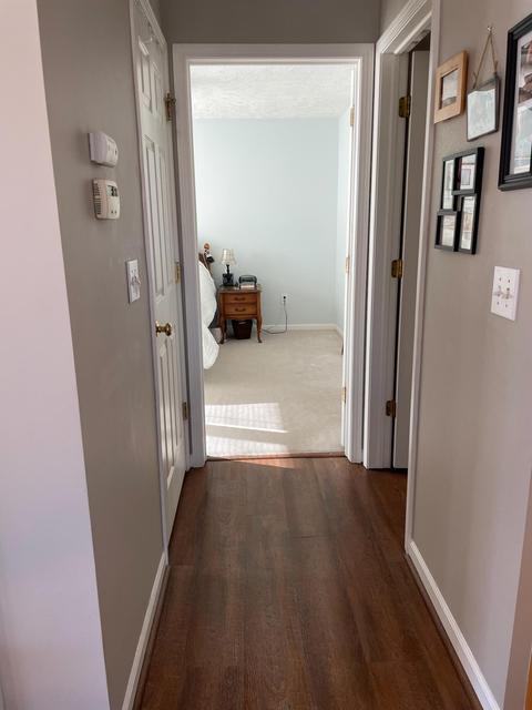 1126 Riverview Ct, Williamston, MI 48895 photo 11