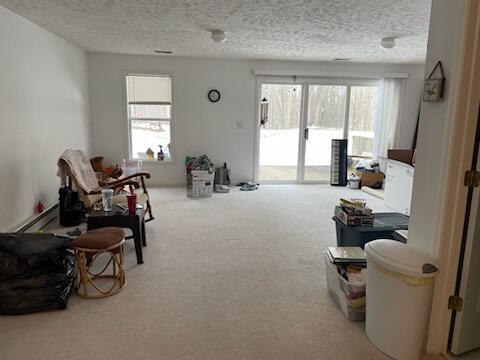 1126 Riverview Ct, Williamston, MI 48895 photo 14