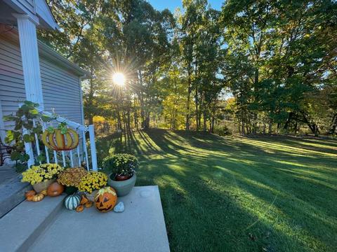 1126 Riverview Ct, Williamston, MI 48895 photo 18
