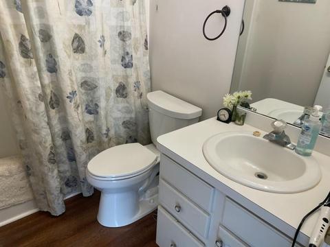 1126 Riverview Ct, Williamston, MI 48895 photo 10