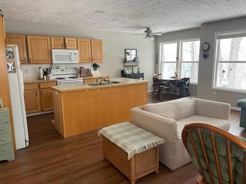 1126 Riverview Ct, Williamston, MI 48895 photo 2