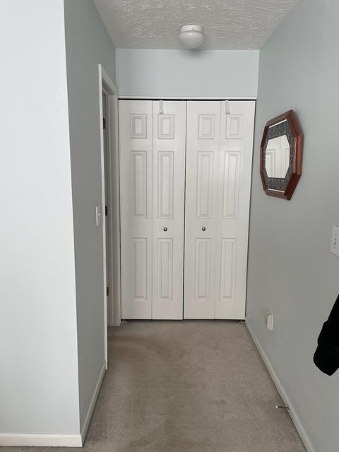 1126 Riverview Ct, Williamston, MI 48895 photo 4